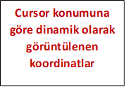 Cursor konumuna göre dinamik olarak görüntülenen koordinatlar